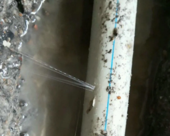 五河卫生间测漏水多少钱