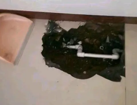 五河卫生间测漏水多少钱